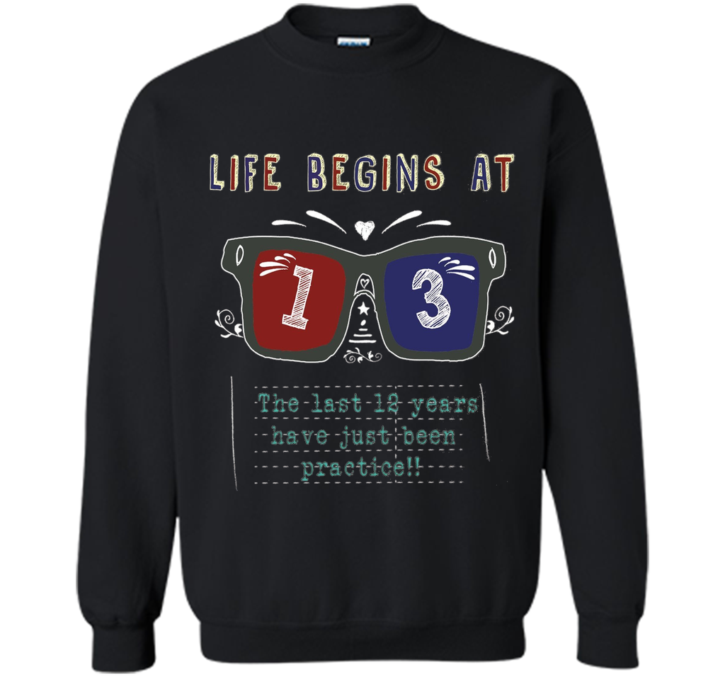 Life Begins At 13 Years Old 13th Birthday Cool Gift T-Shirt