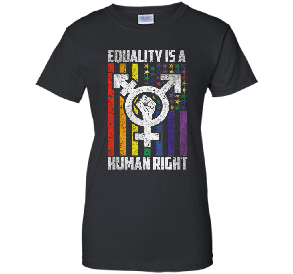 LGBT Pride Shirts Equality is a Human Right gift T-Shirt shirt
