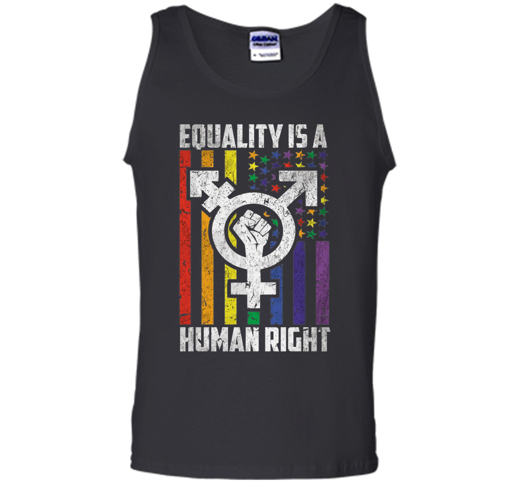 LGBT Pride Shirts Equality is a Human Right gift T-Shirt shirt