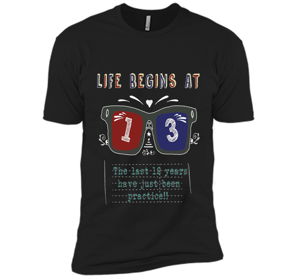 Life Begins At 13 Years Old 13th Birthday Cool Gift T-Shirt