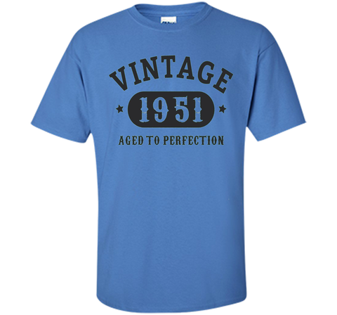 66 years old 66th Birthday B-day Gift 1951 T-Shirt