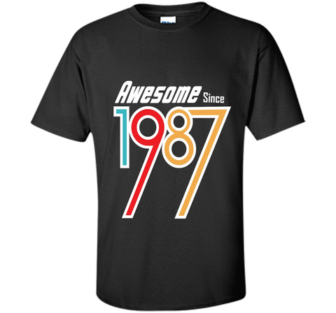 Awesome Since 1987 | 29 nd Birthday Gift T Shirt