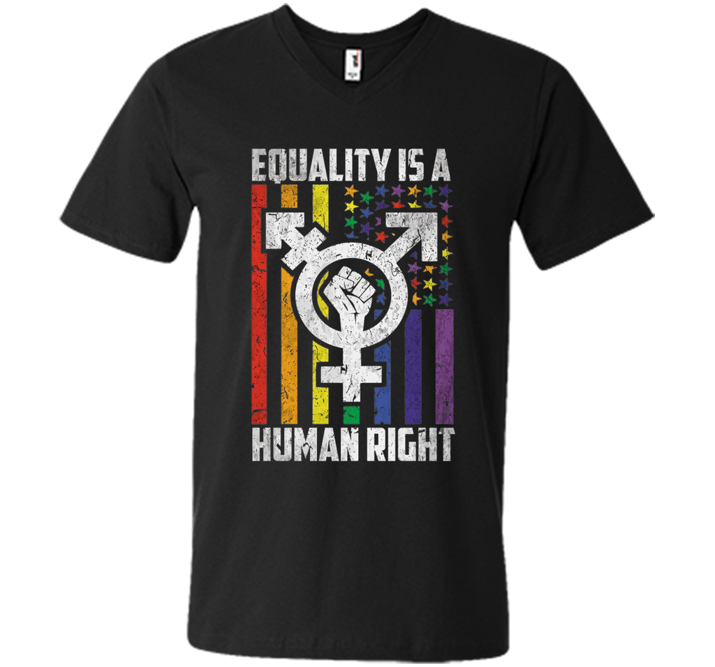 LGBT Pride Shirts Equality is a Human Right gift T-Shirt shirt