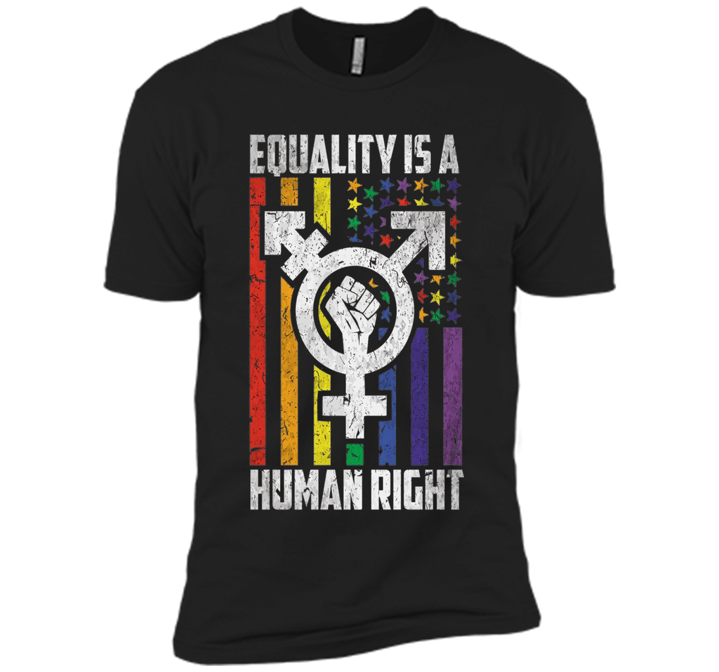 LGBT Pride Shirts Equality is a Human Right gift T-Shirt shirt