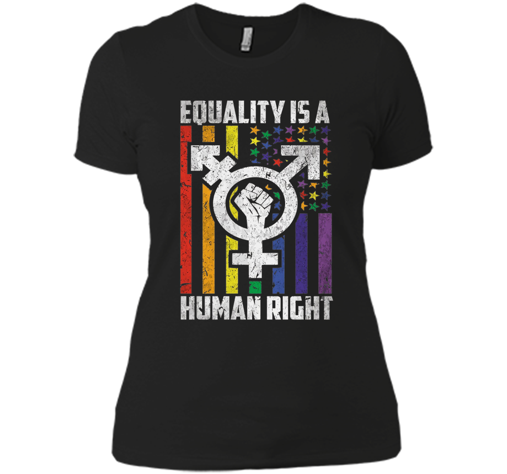LGBT Pride Shirts Equality is a Human Right gift T-Shirt shirt