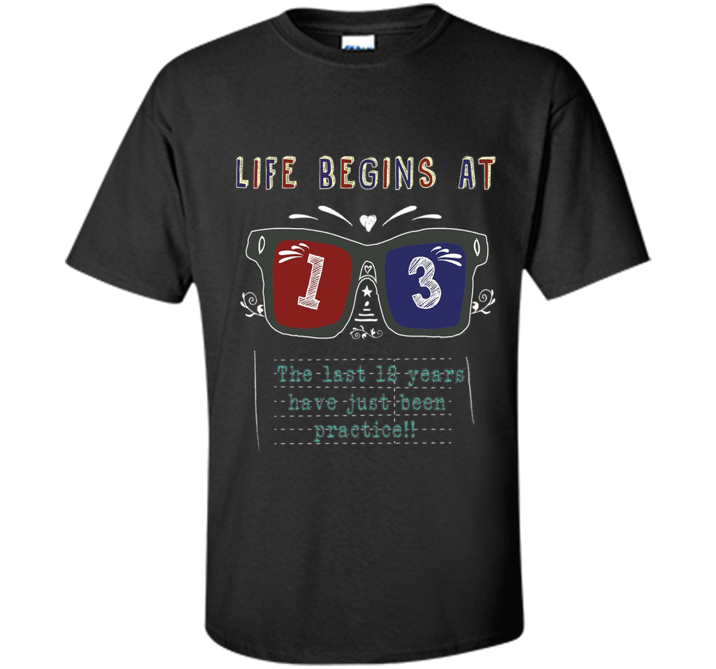 Life Begins At 13 Years Old 13th Birthday Cool Gift T-Shirt