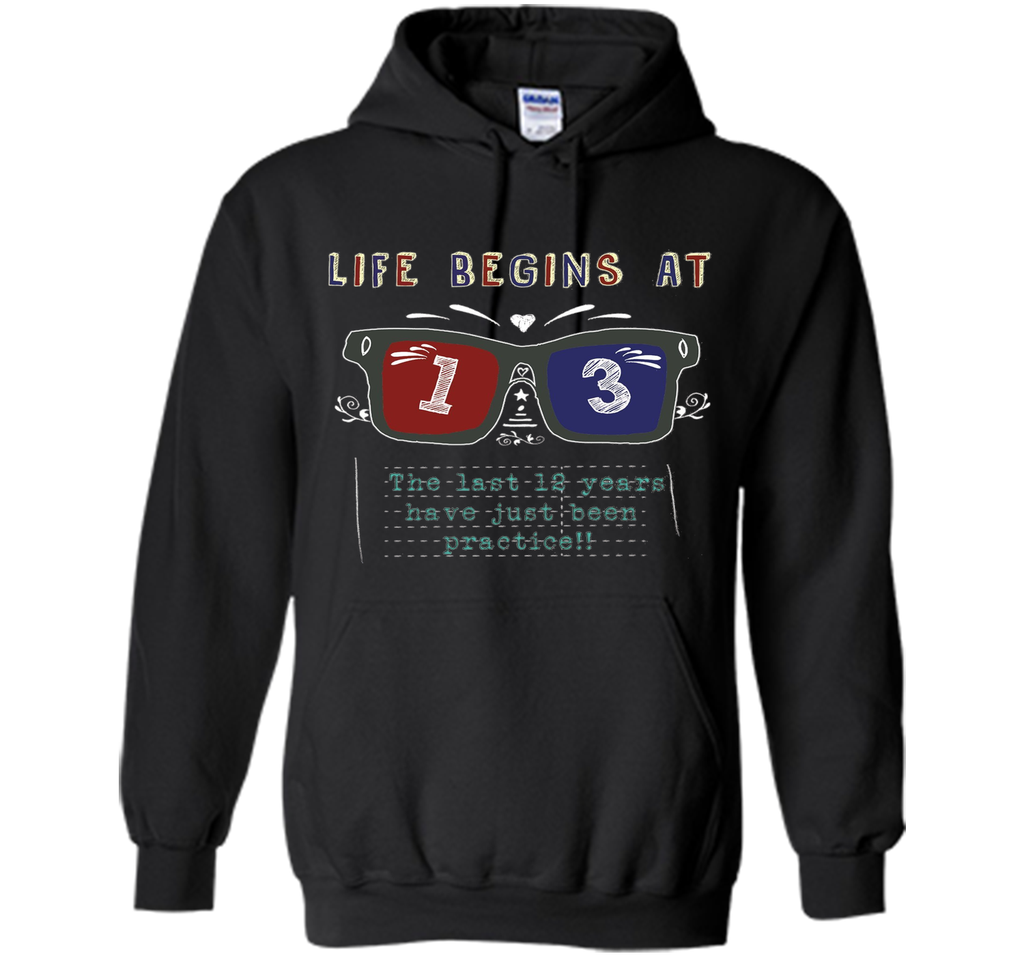 Life Begins At 13 Years Old 13th Birthday Cool Gift T-Shirt