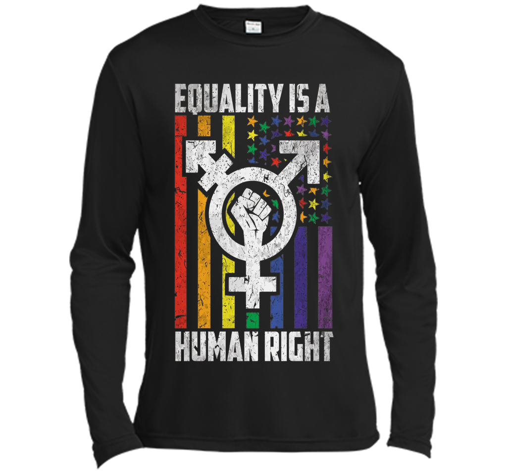 LGBT Pride Shirts Equality is a Human Right gift T-Shirt shirt
