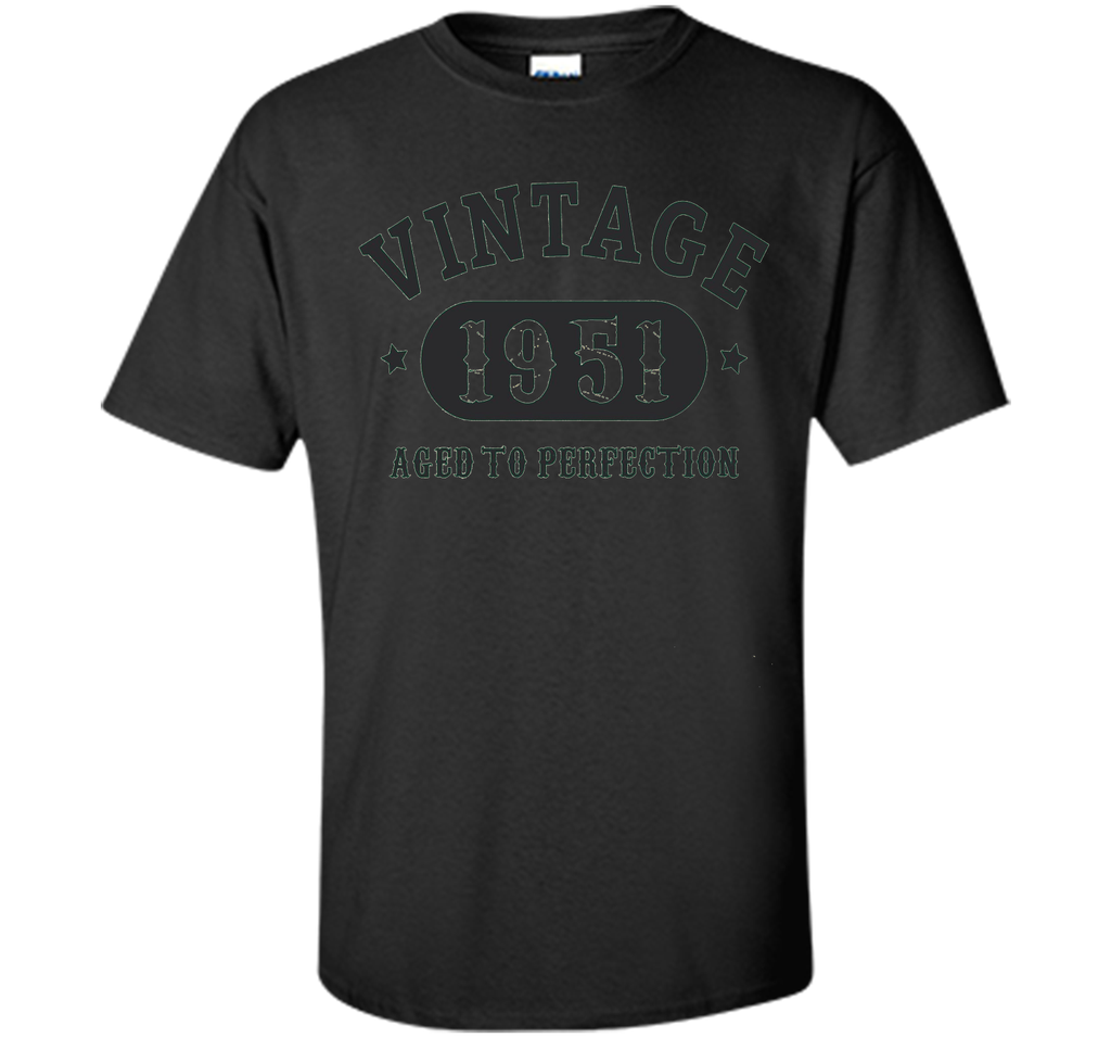 66 years old 66th Birthday B-day Gift 1951 T-Shirt