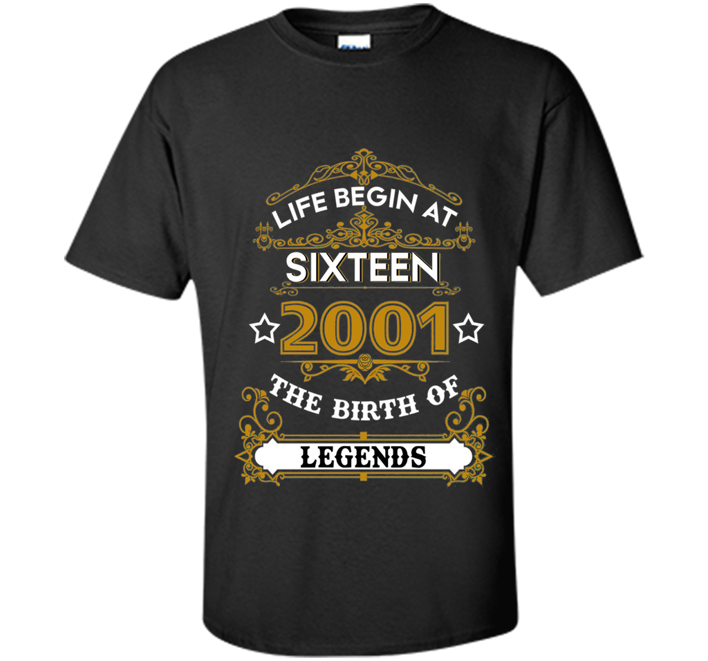 2001 The Birth Of Legends - Funny Tshirt For Man/Women cool shirt