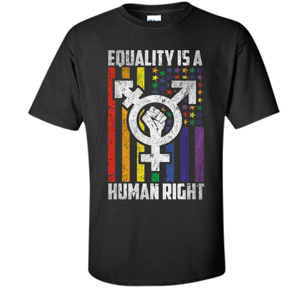 LGBT Pride Shirts Equality is a Human Right gift T-Shirt shirt