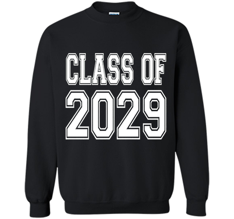 Class of 2029 T-Shirt