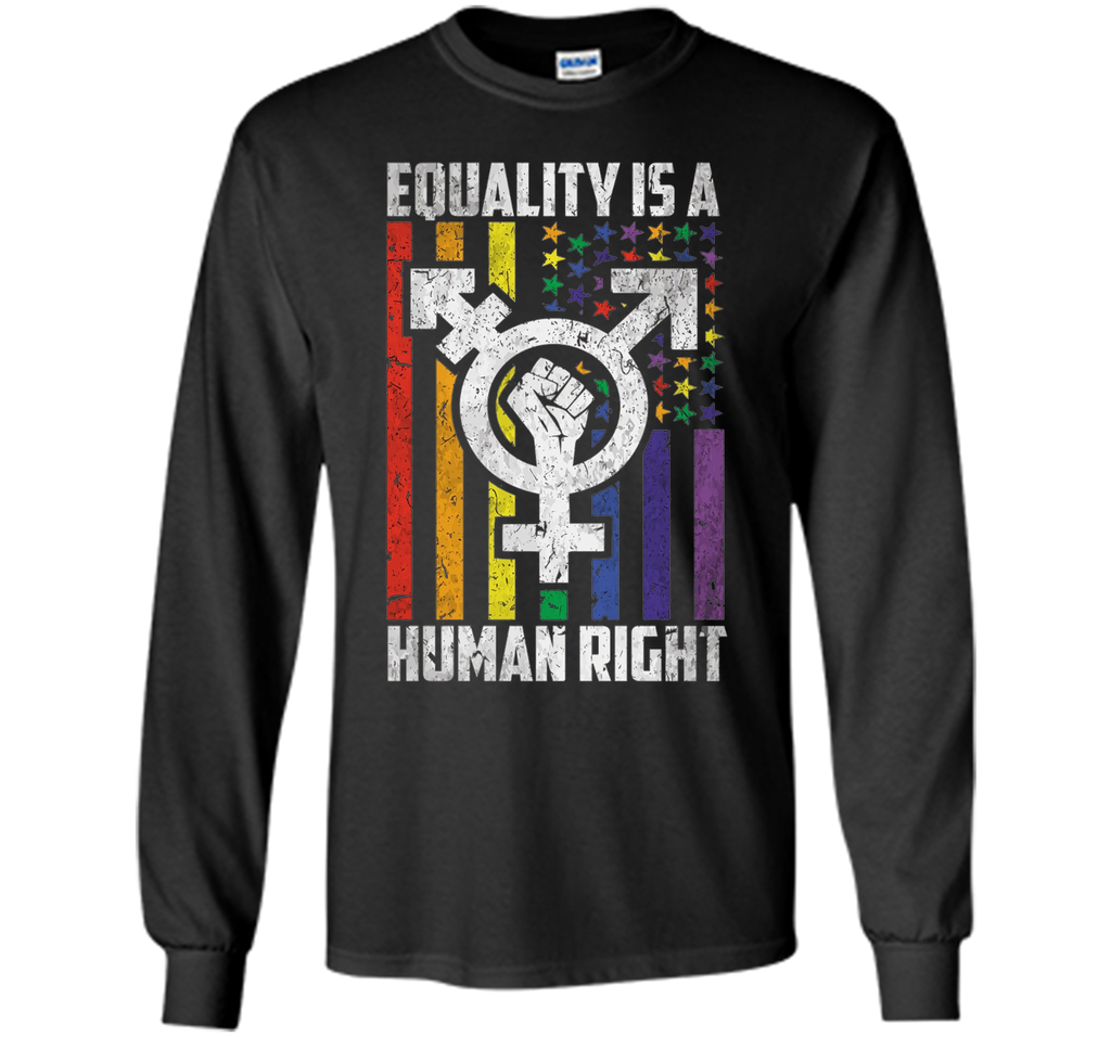 LGBT Pride Shirts Equality is a Human Right gift T-Shirt shirt